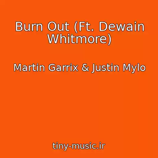 کاور آهنگ Burn Out (Ft. Dewain Whitmore) از Martin Garrix & Justin Mylo