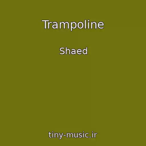 کاور آهنگ Trampoline از Shaed