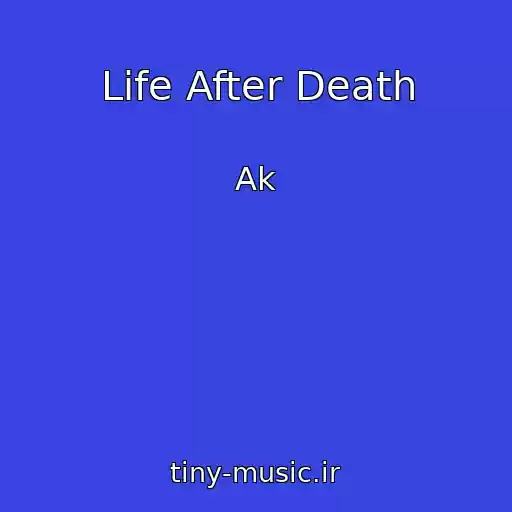 کاور آهنگ Life After Death از Ak