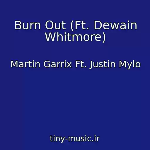 کاور آهنگ Burn Out (Ft. Dewain Whitmore) از Martin Garrix Ft. Justin Mylo