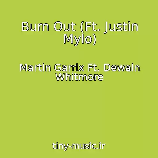 کاور آهنگ Burn Out (Ft. Justin Mylo) از Martin Garrix Ft. Dewain Whitmore