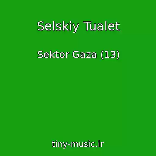 کاور آهنگ Selskiy Tualet از Sektor Gaza (13)