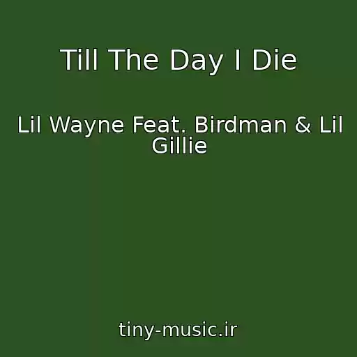 کاور آهنگ Till The Day I Die از Lil Wayne Feat. Birdman & Lil Gillie