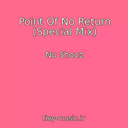 کاور آهنگ Point Of No Return (Special Mix) از Nu Shooz