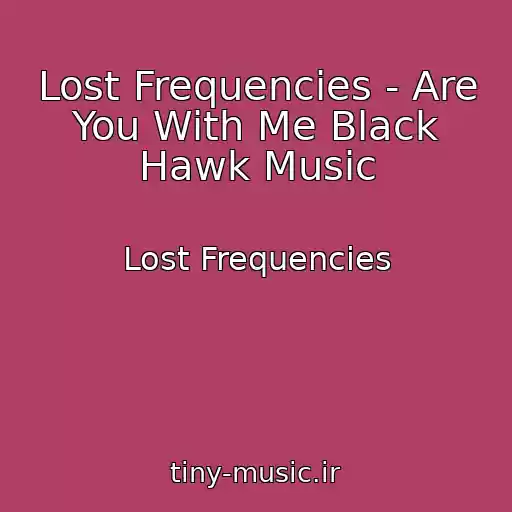 کاور آهنگ Lost Frequencies - Are You With Me Black Hawk Music از Lost Frequencies