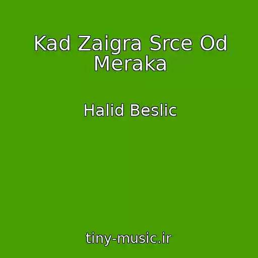 کاور آهنگ Kad Zaigra Srce Od Meraka از Halid Beslic