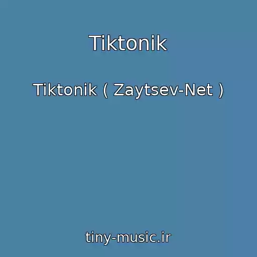 کاور آهنگ Tiktonik از Tiktonik ( Zaytsev-Net )