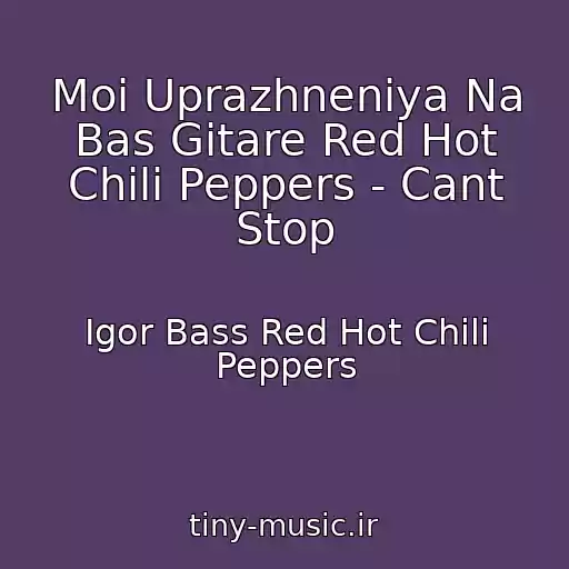 کاور آهنگ Moi Uprazhneniya Na Bas Gitare Red Hot Chili Peppers - Cant Stop از Igor Bass Red Hot Chili Peppers