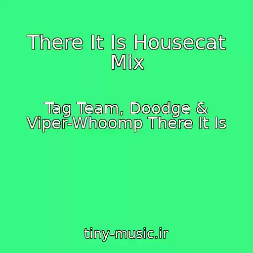 کاور آهنگ There It Is Housecat Mix از Tag Team, Doodge & Viper-Whoomp There It Is