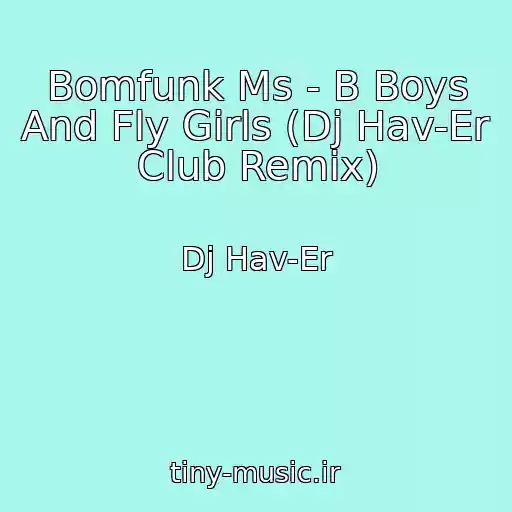 کاور آهنگ Bomfunk Ms - B Boys And Fly Girls (Dj Hav-Er Club Remix) از Dj Hav-Er
