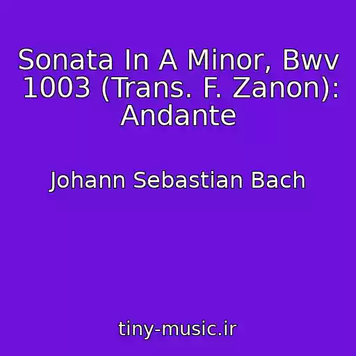 کاور آهنگ Sonata In A Minor, Bwv 1003 (Trans. F. Zanon): Andante از Johann Sebastian Bach