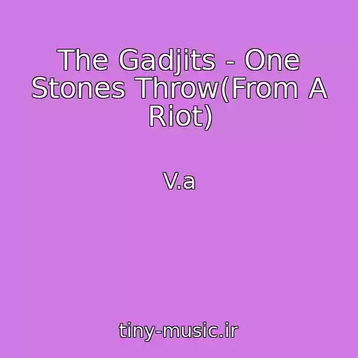 کاور آهنگ The Gadjits - One Stones Throw(From A Riot) از V.a