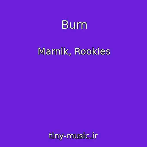 کاور آهنگ Burn از Marnik, Rookies