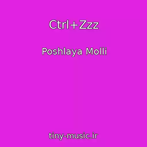 کاور آهنگ Ctrl+Zzz از Poshlaya Molli