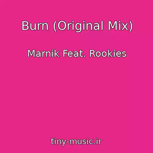 کاور آهنگ Burn (Original Mix) از Marnik Feat. Rookies