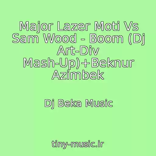 کاور آهنگ Major Lazer Moti Vs Sam Wood - Boom (Dj Art-Div Mash-Up)+Beknur Azimbek از Dj Beka Music