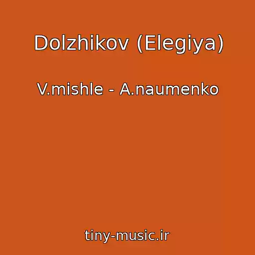 کاور آهنگ Dolzhikov (Elegiya) از V.mishle - A.naumenko