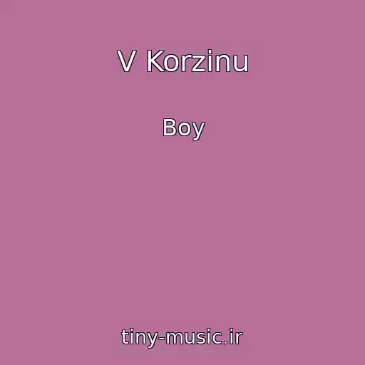 کاور آهنگ V Korzinu از Boy