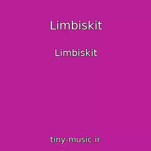 کاور آهنگ Limbiskit از Limbiskit