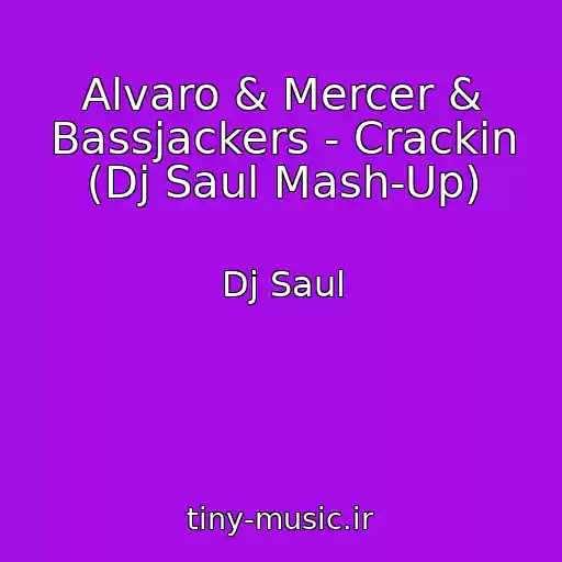 کاور آهنگ Alvaro & Mercer & Bassjackers - Crackin (Dj Saul Mash-Up) از Dj Saul