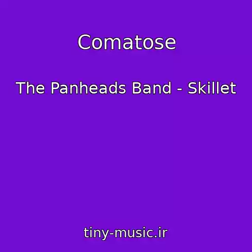 کاور آهنگ Comatose از The Panheads Band - Skillet