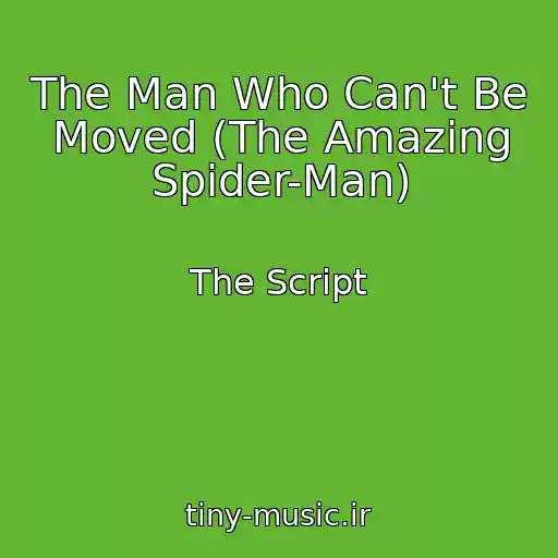 کاور آهنگ The Man Who Can't Be Moved (The Amazing Spider-Man) از The Script
