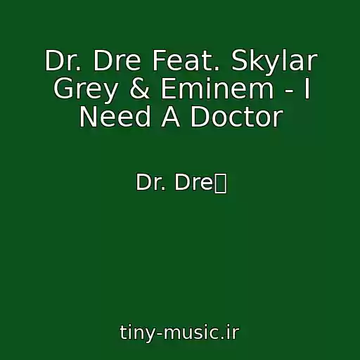 کاور آهنگ Dr. Dre Feat. Skylar Grey & Eminem - I Need A Doctor از Dr. Dre吀