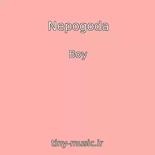 کاور آهنگ Nepogoda از Boy