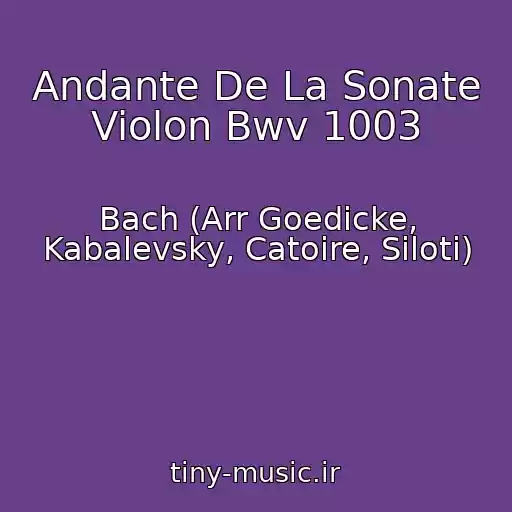 کاور آهنگ Andante De La Sonate Violon Bwv 1003 از Bach (Arr Goedicke, Kabalevsky, Catoire, Siloti)
