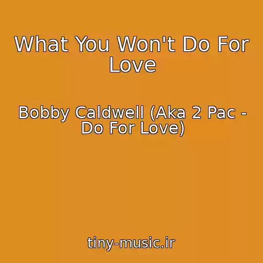کاور آهنگ What You Won't Do For Love از Bobby Caldwell (Aka 2 Pac - Do For Love)