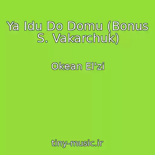 کاور آهنگ Ya Idu Do Domu (Bonus S. Vakarchuk) از Okean El'zi