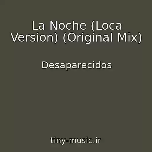 کاور آهنگ La Noche (Loca Version) (Original Mix) از Desaparecidos