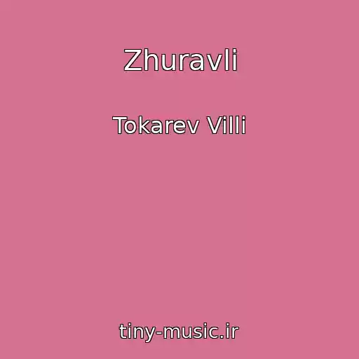کاور آهنگ Zhuravli از Tokarev Villi