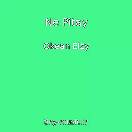 کاور آهنگ Ne Pitay از Okean Elzy
