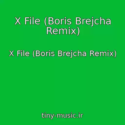 کاور آهنگ X File (Boris Brejcha Remix) از X File (Boris Brejcha Remix)