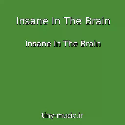 کاور آهنگ Insane In The Brain از Insane In The Brain
