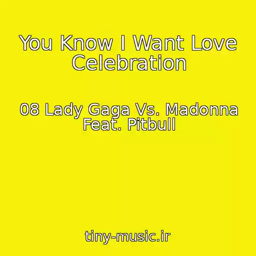 کاور آهنگ You Know I Want Love Celebration از 08 Lady Gaga Vs. Madonna Feat. Pitbull