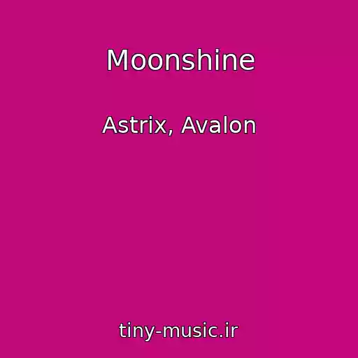 کاور آهنگ Moonshine از Astrix, Avalon
