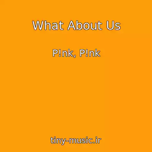 کاور آهنگ What About Us از P!nk, P!nk