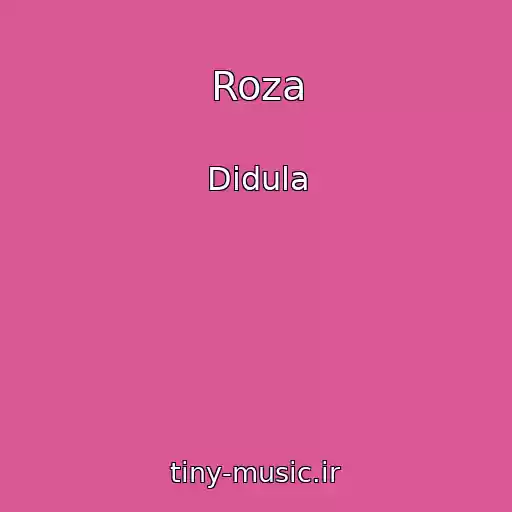 کاور آهنگ Roza از Didula