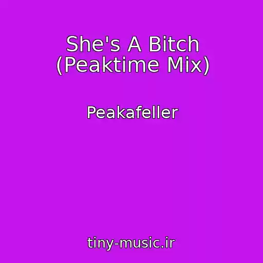 کاور آهنگ She's A Bitch (Peaktime Mix) از Peakafeller