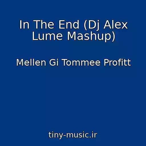 کاور آهنگ In The End (Dj Alex Lume Mashup) از Mellen Gi Tommee Profitt