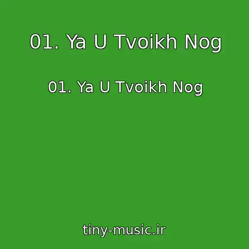 کاور آهنگ 01. Ya U Tvoikh Nog از 01. Ya U Tvoikh Nog