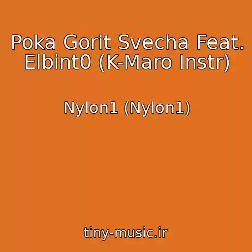 کاور آهنگ Poka Gorit Svecha Feat. Elbint0 (K-Maro Instr) از Nylon1 (Nylon1)