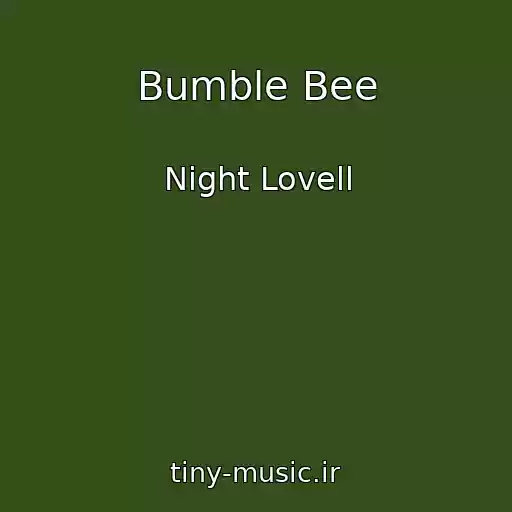 کاور آهنگ Bumble Bee از Night Lovell