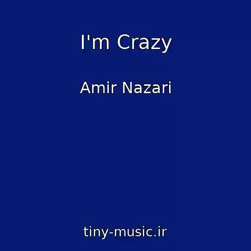 کاور آهنگ I'm Crazy از Amir Nazari