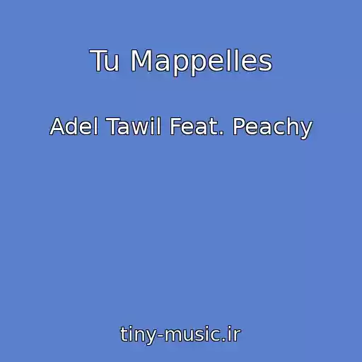 کاور آهنگ Tu Mappelles از Adel Tawil Feat. Peachy