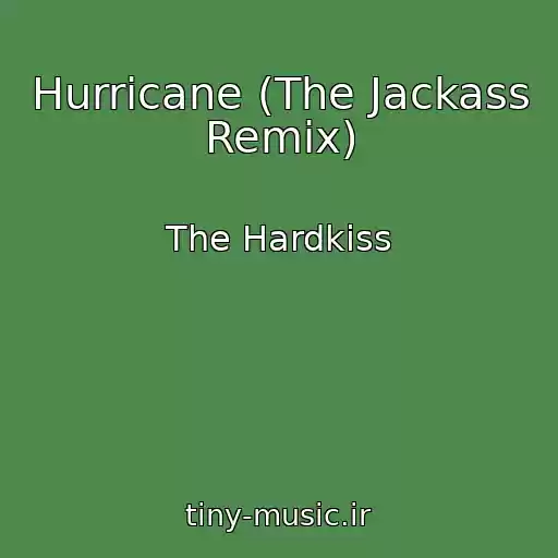 کاور آهنگ Hurricane (The Jackass Remix) از The Hardkiss