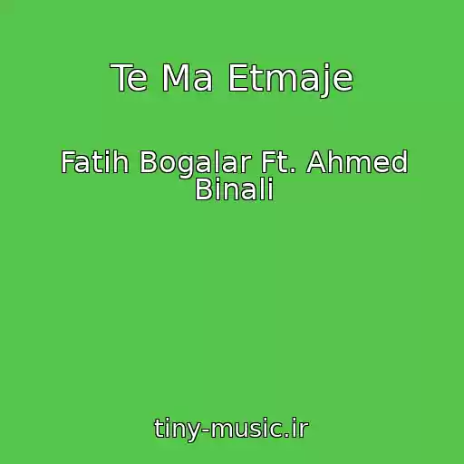 کاور آهنگ Te Ma Etmaje از Fatih Bogalar Ft. Ahmed Binali