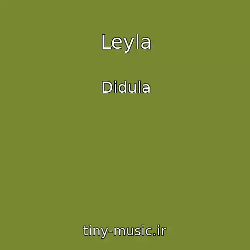 کاور آهنگ Leyla از Didula